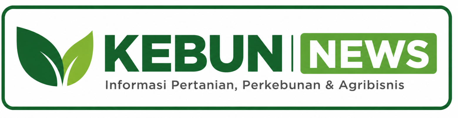 Kebun News