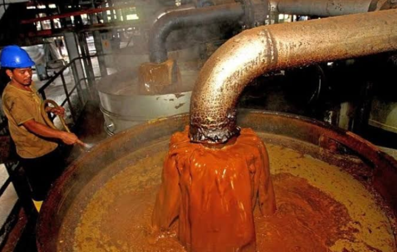 Harga CPO Melemah, Pasokan Sawit Indonesia Berpotensi Tertekan Akibat El Niño