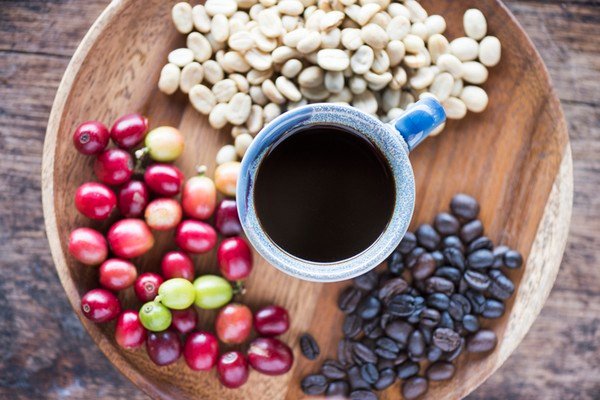 Bukan Lagi Soal Panen Banyak, Kopi Berkualitas Kini Bisa Bikin Harga Melonjak
