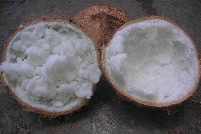 Bukan Kelapa Biasa, Kelapa Kopyor Punya Tekstur Unik dan Nilai Jual Tinggi