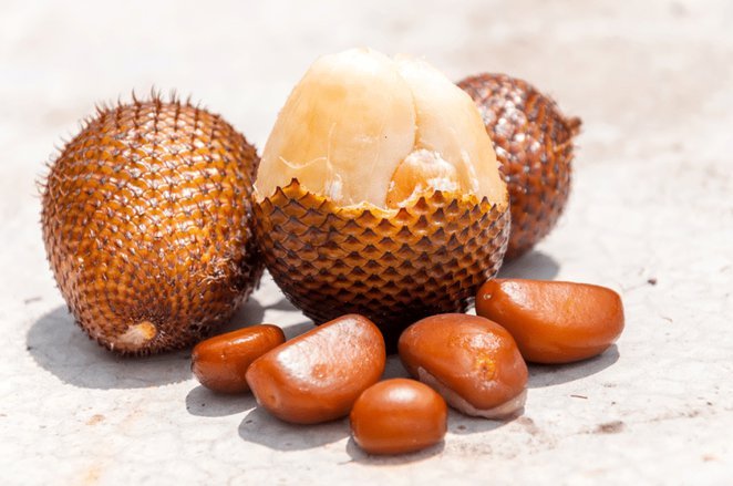 Cara Mengolah Limbah Kulit dan Biji Salak Jadi Produk Bernilai Ekonomi